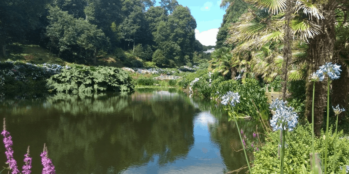 trebah-gardens-falmouth-cornwall-the-working-boat-pub