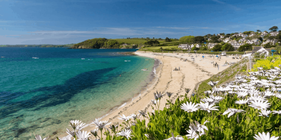 10 Fun Things To Do In Falmouth