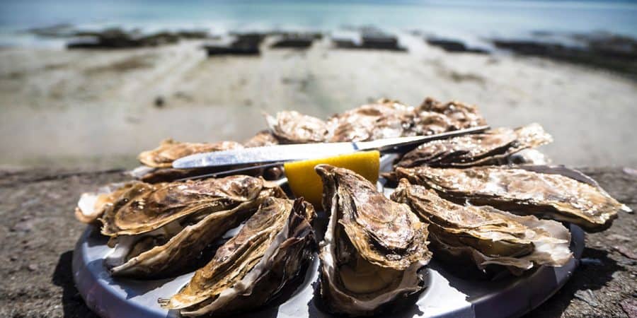 Falmouth Oyster Festival 2019: Nick Hodges’ Seared Scallops Recipe