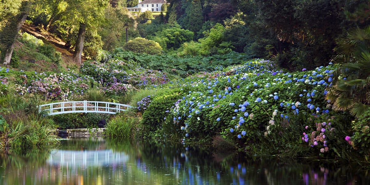 cornish-gardens-in-falmouth-the-working-boat-hangover-cure