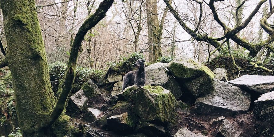 A local’s guide to autumn in Cornwall