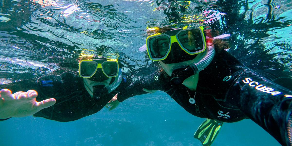 The Working Boat Cornish Summer Bucket List Snorkelling Falmouth Bay Tailored Tours