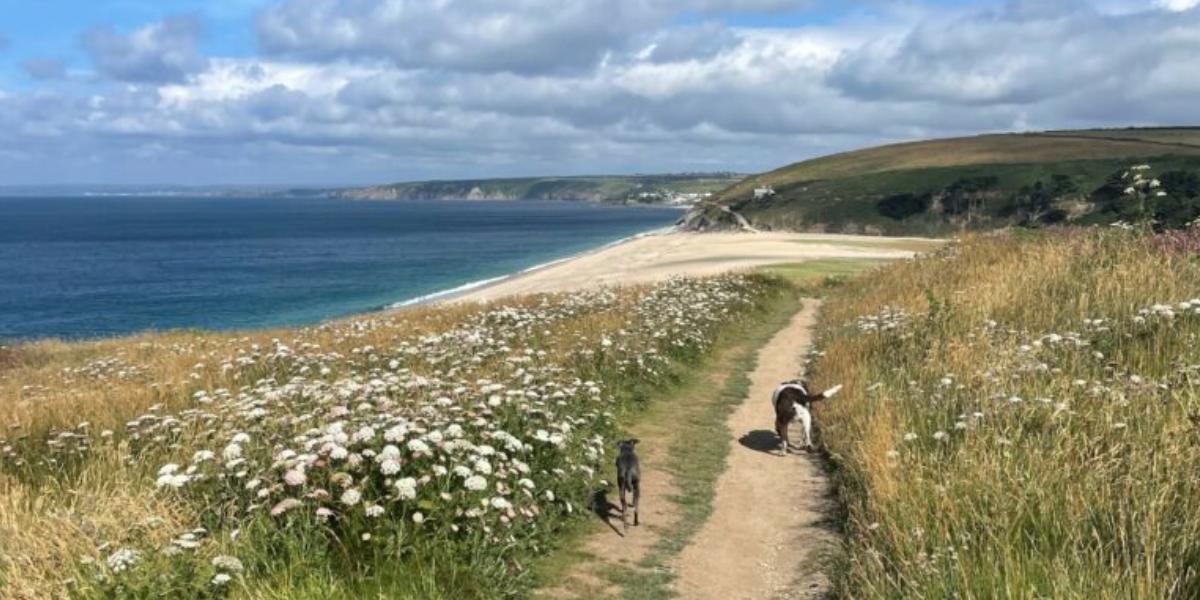 The Working Boat Cornish Summer Bucket List South West Coast Path